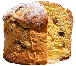 miriam helen vollmeier